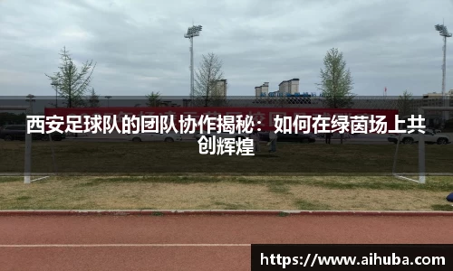 熊猫体育官网