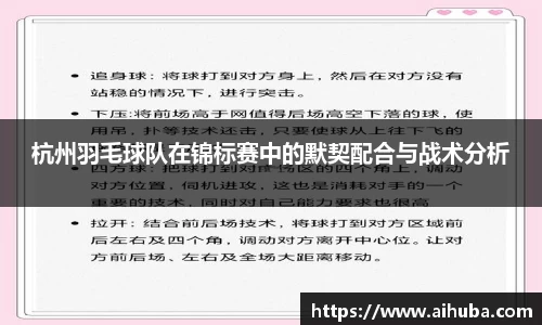 杭州羽毛球队在锦标赛中的默契配合与战术分析