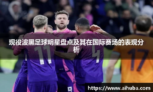 现役波黑足球明星盘点及其在国际赛场的表现分析